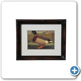Baker Mallard Duck