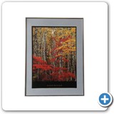 Muench American Landscape